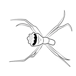 Hanging Spidy Free Coloring Page for Kids