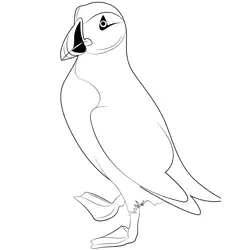 Arctic Puffin Bird Free Coloring Page for Kids