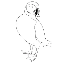Puffin 2 Free Coloring Page for Kids