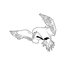 Gannet 2 Free Coloring Page for Kids