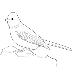 Stand On Rock Yellowhammer Free Coloring Page for Kids