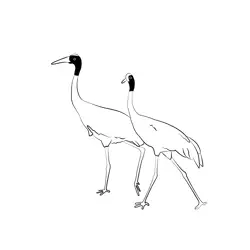 Crane 6 Free Coloring Page for Kids