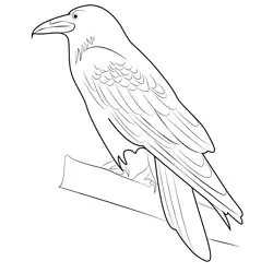Raven 1 Free Coloring Page for Kids