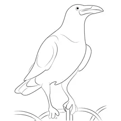 Scary Raven Free Coloring Page for Kids