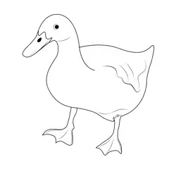 Pet Duck Behavior Free Coloring Page for Kids