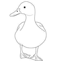 Single Duck Free Coloring Page for Kids