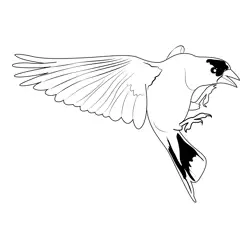American Goldfinch Bird Free Coloring Page for Kids