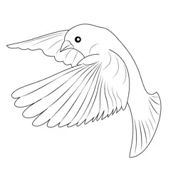 American Goldfinch Flying Free Coloring Page for Kids