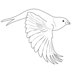 Fly Pine Grosbeak Free Coloring Page for Kids