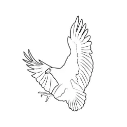 African Fish Eagle Free Coloring Page for Kids