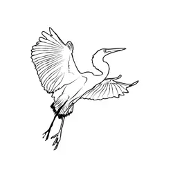 Great White Egret 3 Free Coloring Page for Kids
