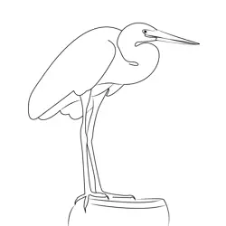 Great White Heron Free Coloring Page for Kids