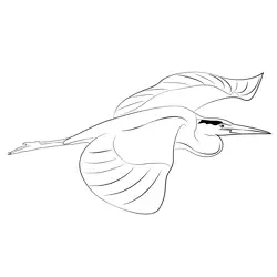 Grey Heron In Flight Free Coloring Page for Kids