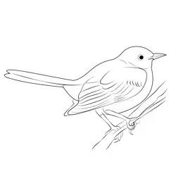 Awesome Mockingbird