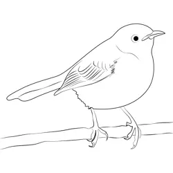 Perched Mockingbird Free Coloring Page for Kids