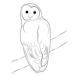 Black Owl Bird Free Coloring Page for Kids