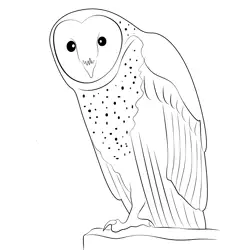 Owl 2 Free Coloring Page for Kids