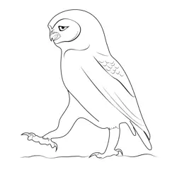 Owl 6 Free Coloring Page for Kids