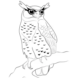 Spot Bellied Eagle Owl Free Coloring Page for Kids