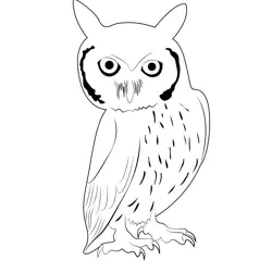 White Faced Scops Owl Free Coloring Page for Kids