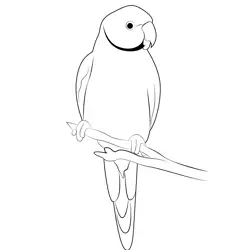 Blue Parrot Free Coloring Page for Kids