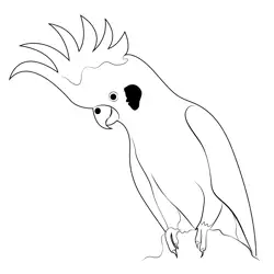 Cockatoo Cage Free Coloring Page for Kids