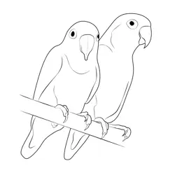Love Birds Yellow Fischer Free Coloring Page for Kids