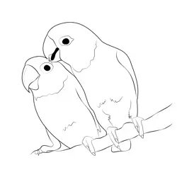 Lovebirds Parrots Free Coloring Page for Kids