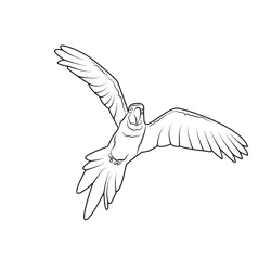 Parrot Fly In Sky Free Coloring Page for Kids