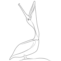 Brown Pelican Open Mouth Free Coloring Page for Kids