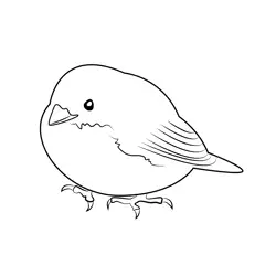 Fluffy Sparrow Free Coloring Page for Kids