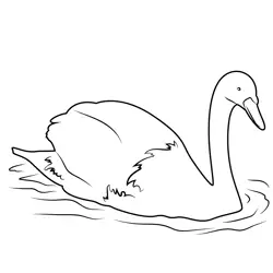 Beautiful Swan In Water Free Coloring Page for Kids