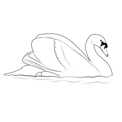 Graceful White Swan Free Coloring Page for Kids