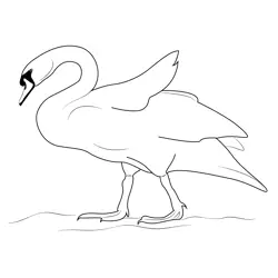 Mute Swan On Ice Free Coloring Page for Kids