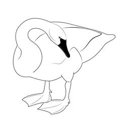 Swan 1 Free Coloring Page for Kids