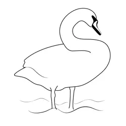 Swan 3 Free Coloring Page for Kids