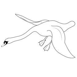 Swan Landing Free Coloring Page for Kids