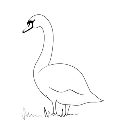 Swan On Shore Free Coloring Page for Kids