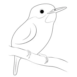 The Bee Hummingbird Free Coloring Page for Kids