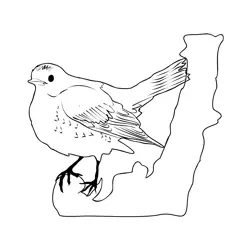 Fieldfare 2 Free Coloring Page for Kids