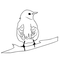 Fieldfare 3 Free Coloring Page for Kids