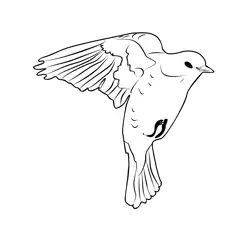 Fieldfare 4 Free Coloring Page for Kids