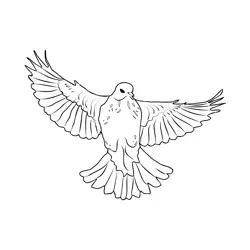 Fieldfare 5 Free Coloring Page for Kids