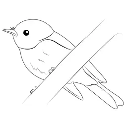 Rose Robin Free Coloring Page for Kids