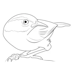 Bird Watching Free Coloring Page for Kids