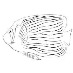 Emperor Angel Fish Free Coloring Page for Kids