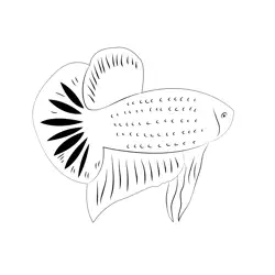 Betta Free Coloring Page for Kids