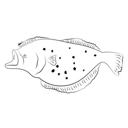 Flounder 8 Free Coloring Page for Kids