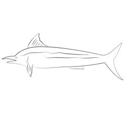 Marlin Free Coloring Page for Kids