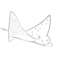 Eagle Ray Closeup Free Coloring Page for Kids